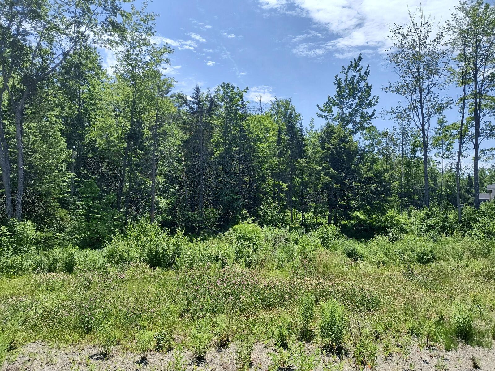 Property Photo:  0 Birchwood Terrace  ME 04967 