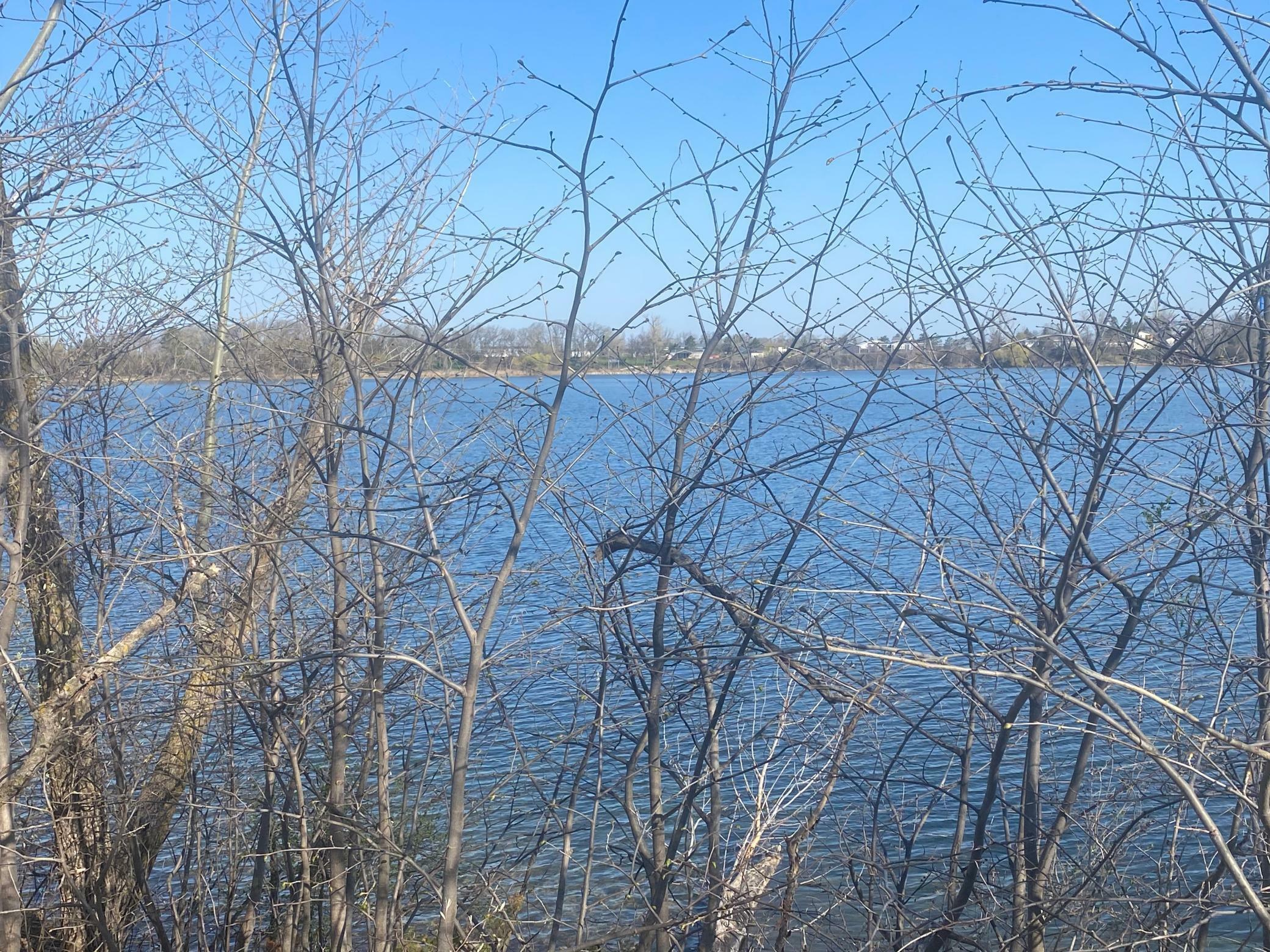 Property Photo: 123 Lynn Road MN 56571
