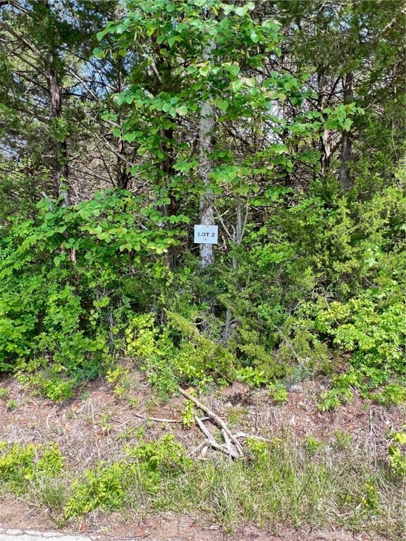 Tract 2 Hammerschmidt Road  Lead Hill AR 72644 photo