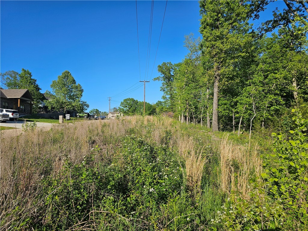 Property Photo: Tbd Lot 27 Wildwood Drive AR 72756