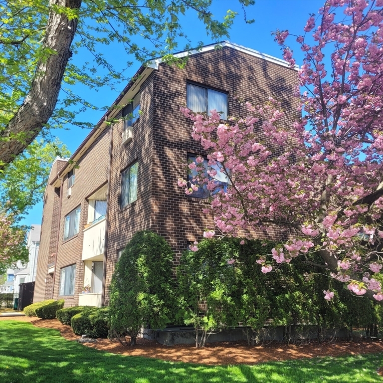 Property Photo:  935 Washington St 7  MA 02460 