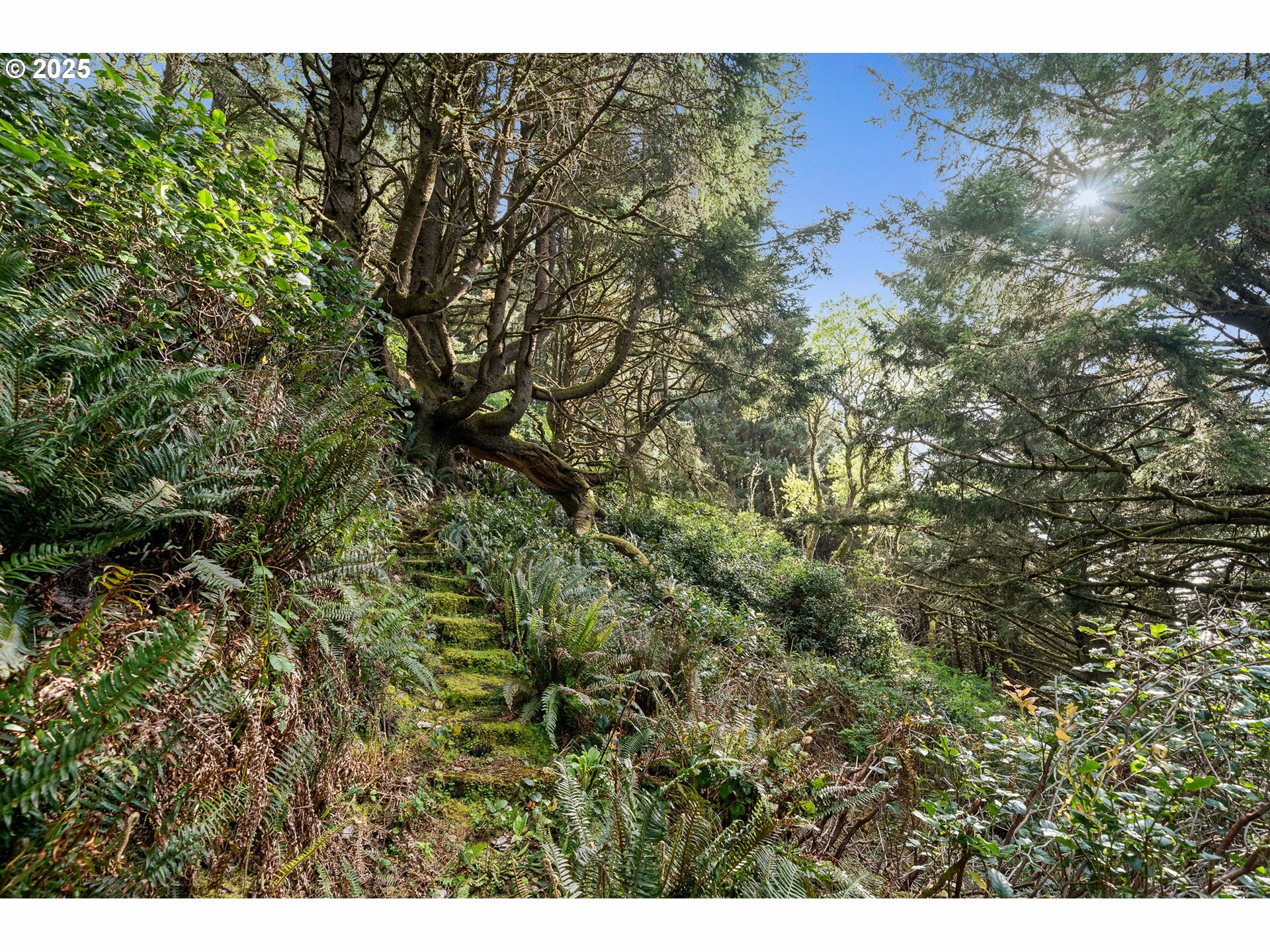 Property Photo: Cape Meares Loop Tl 800 OR 97134