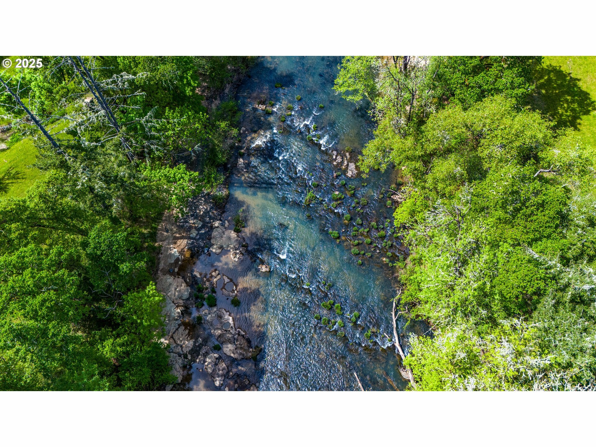 Property Photo: 891 S Elk Creek Rd OR 97435