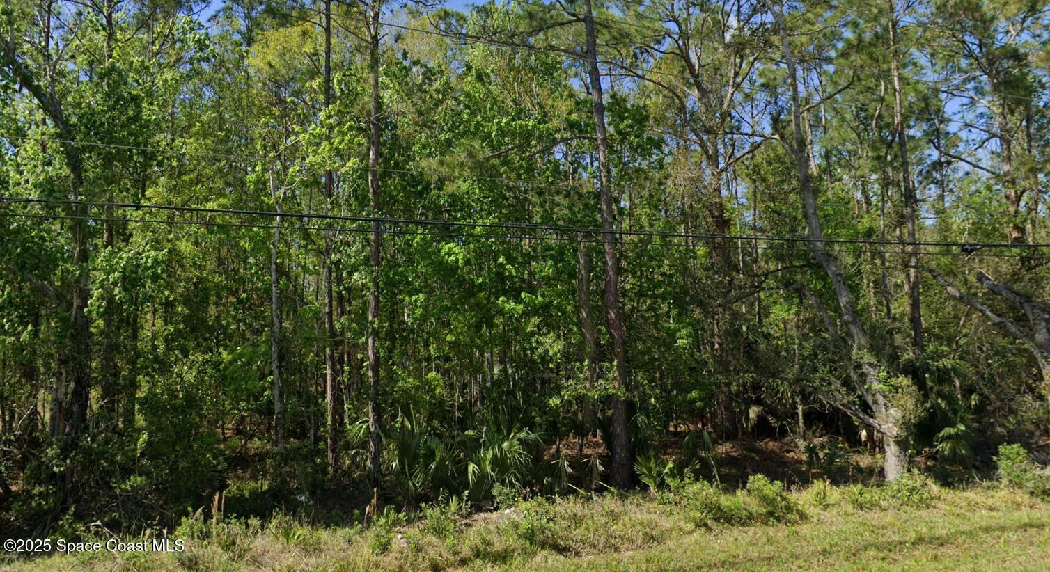 Property Photo: 0 Quail Ranch Road FL 32168