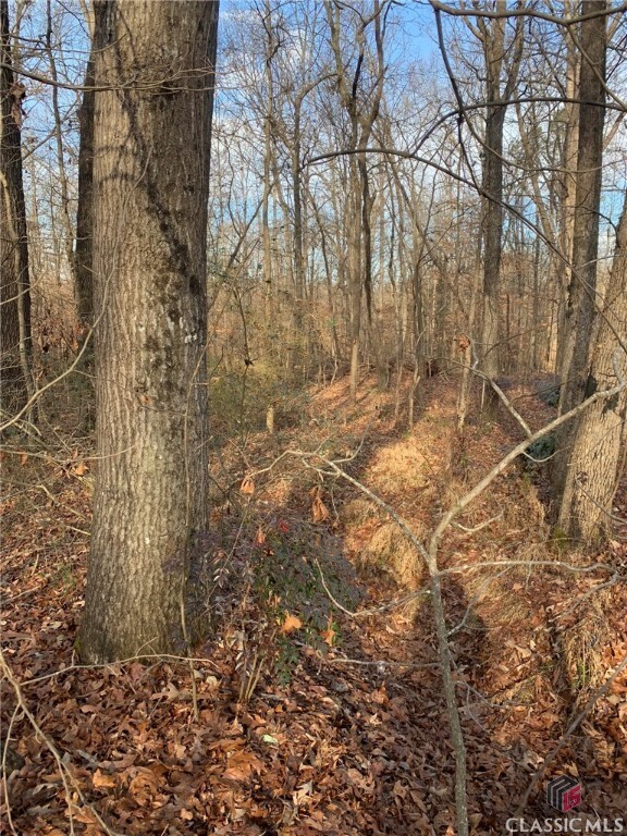 Property Photo: 7700 Poole Circle Tract A GA 30510