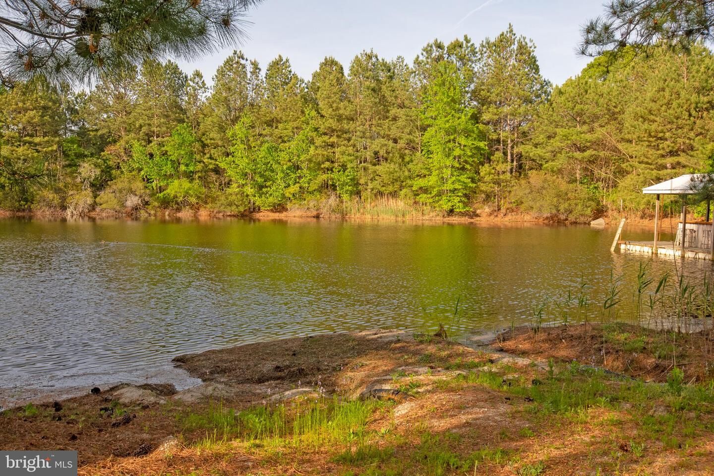 Property Photo: 5764 Black Maple Lane DE 19963