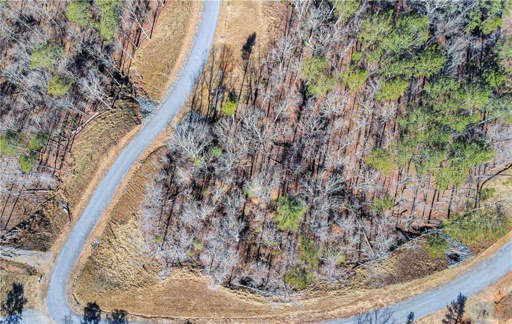 Property Photo:  264 Riverview Trail  GA 30540 