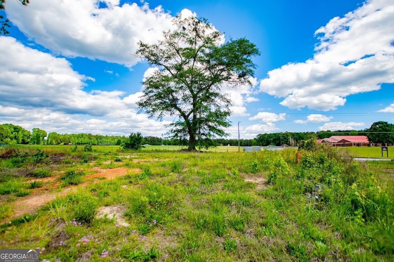 Property Photo: 164 N Jonesville Road GA 30108