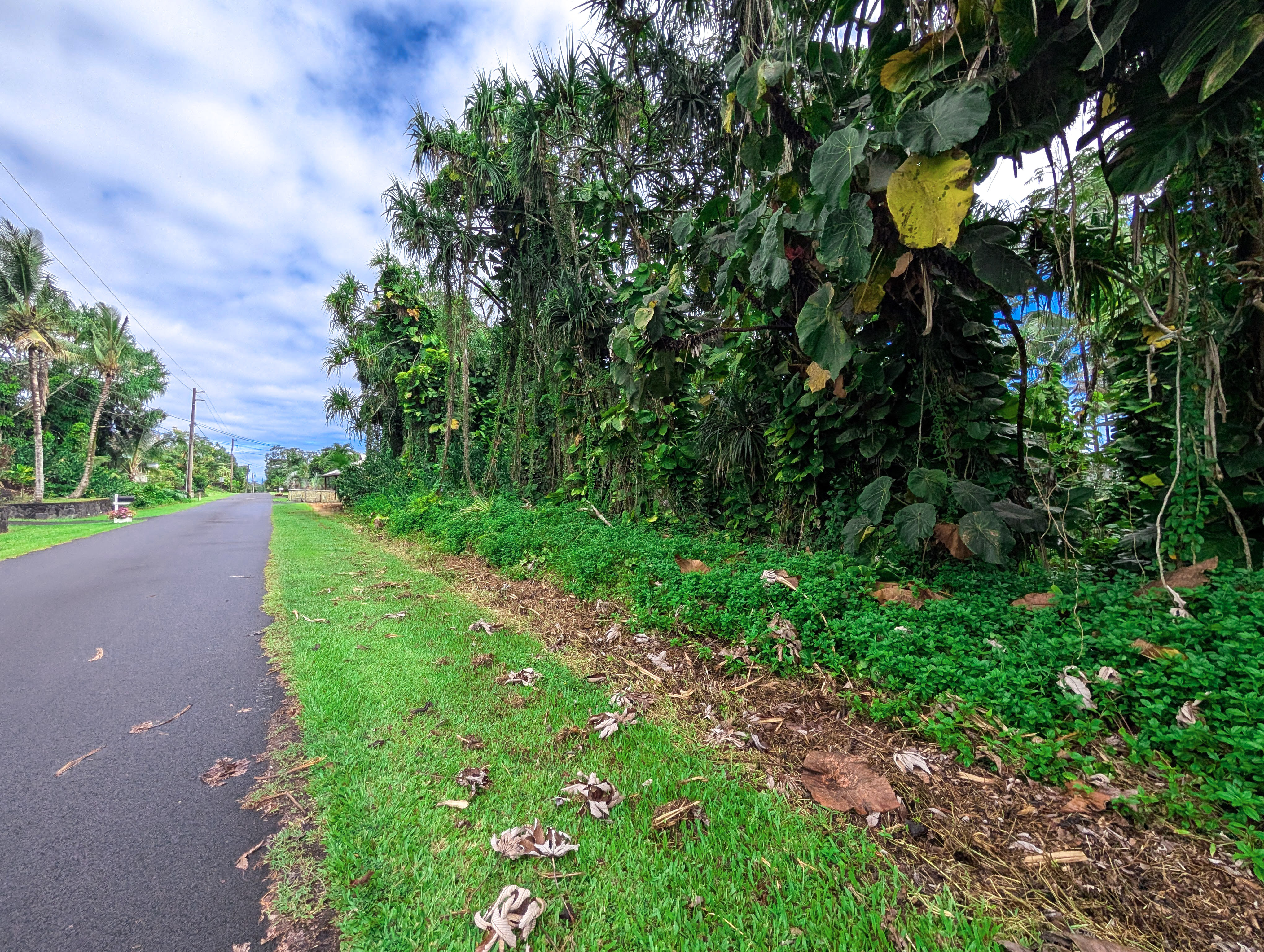 Property Photo: 15-2791 Papai St HI 96778