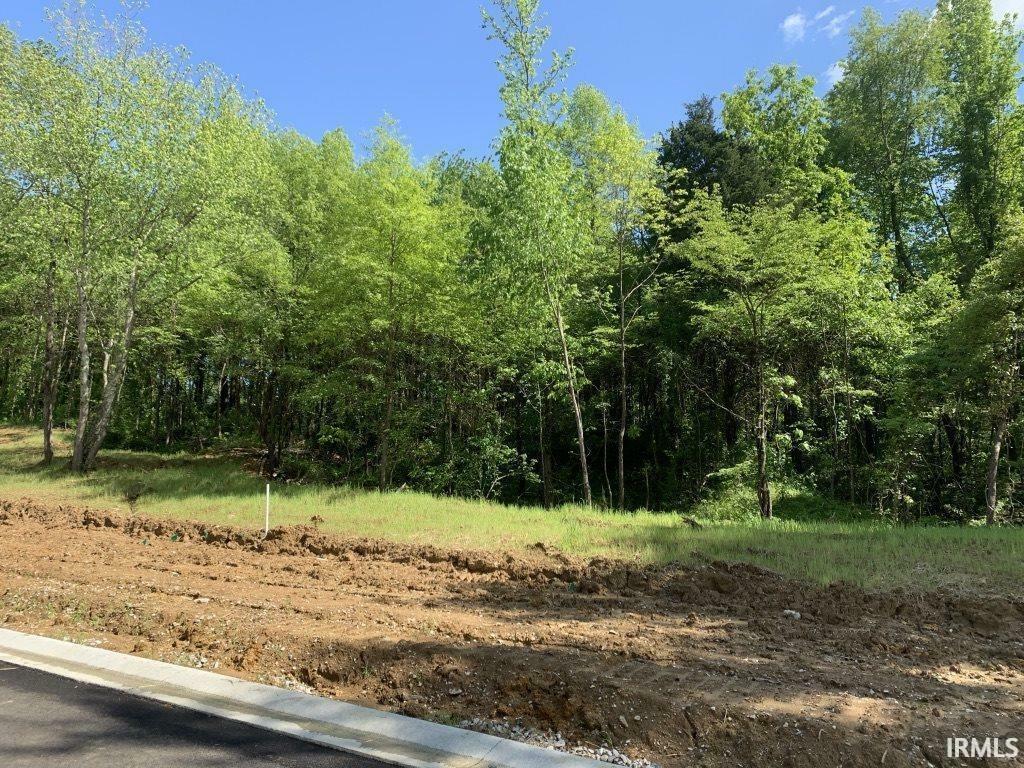 Property Photo: Lot 86 Drive IN 47725