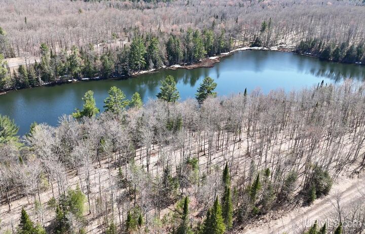 Property Photo:  Tbdb Off Winona Road  MI 49965 