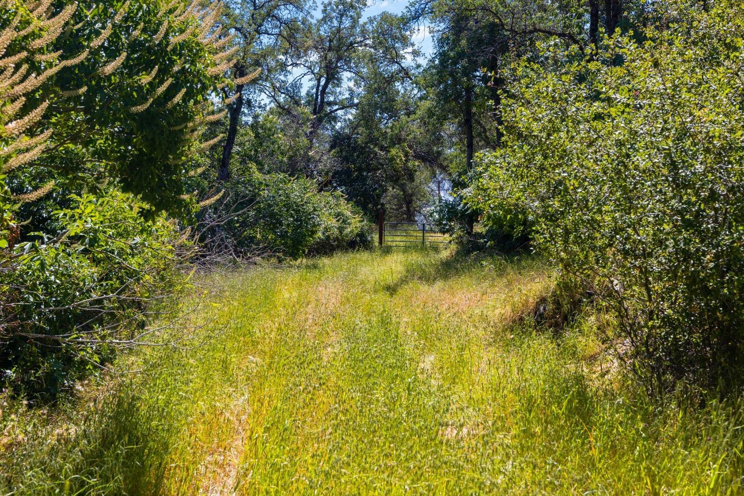 Property Photo: 18085 Lime Rock Drive CA 95370