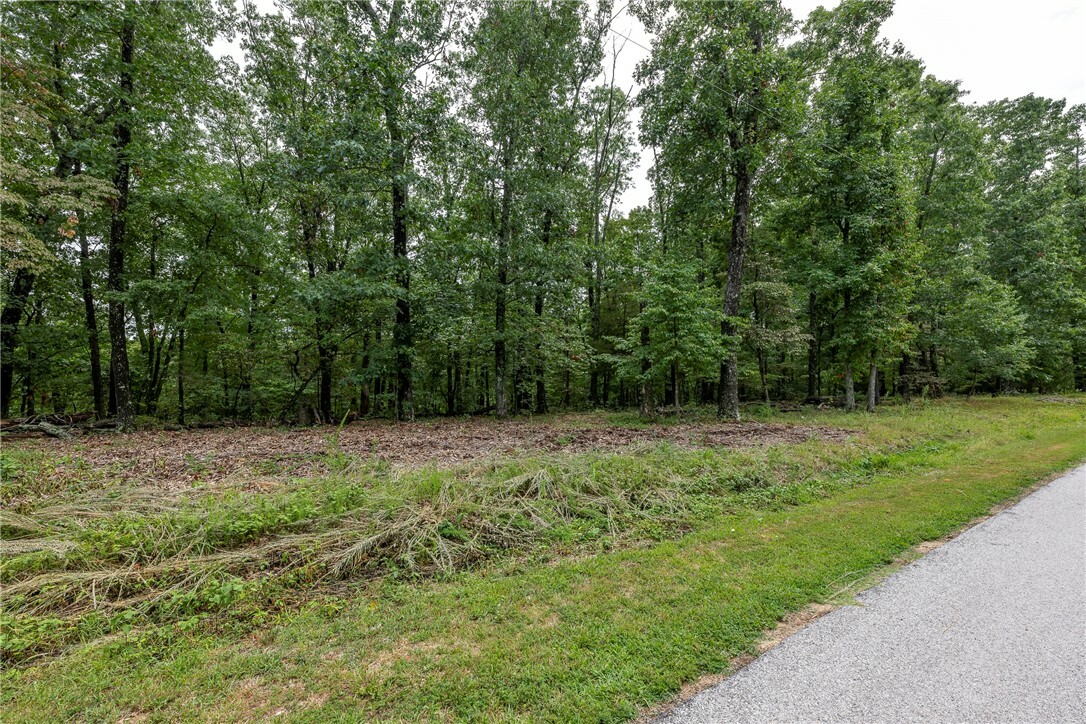 Property Photo: 5.32 Acres Deer Meadow Drive AR 72732
