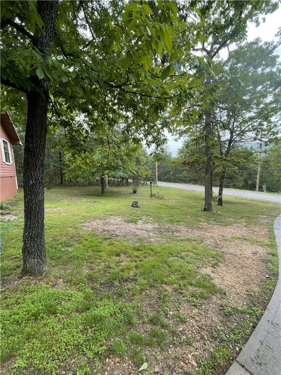 Property Photo: 48 Thomas Circle AR 72631