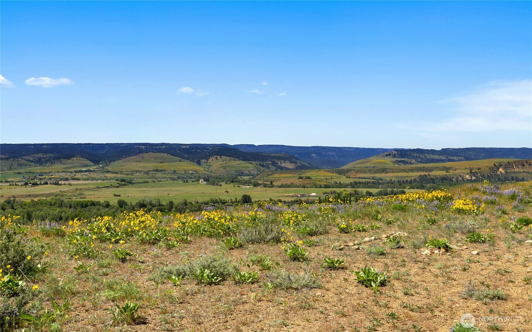 Property Photo: 0 Xxx Indian Lake Drive WA 98926