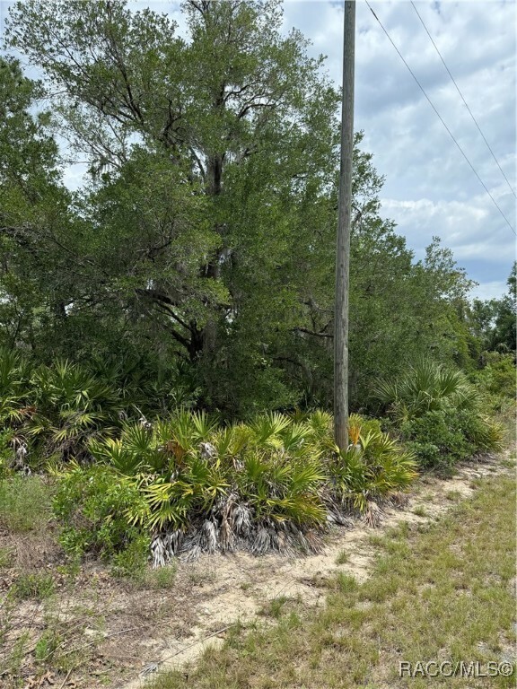 8150 N Downs Road  Crystal River FL 34428 photo