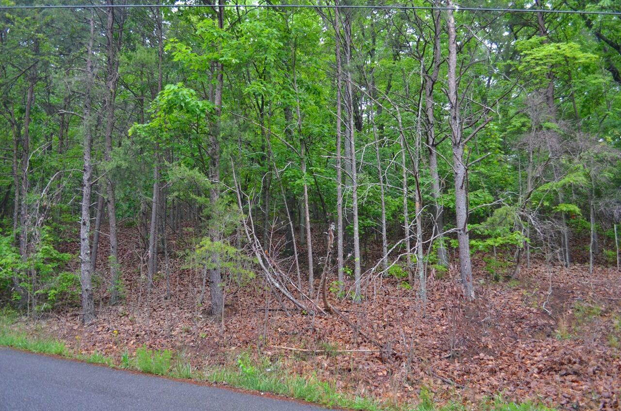 Property Photo: 8805 Terrace Falls Drive TN 37379