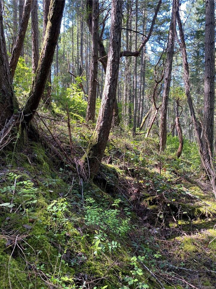 Property Photo: Lot 36 Ruxton Island BC V0V 0V0