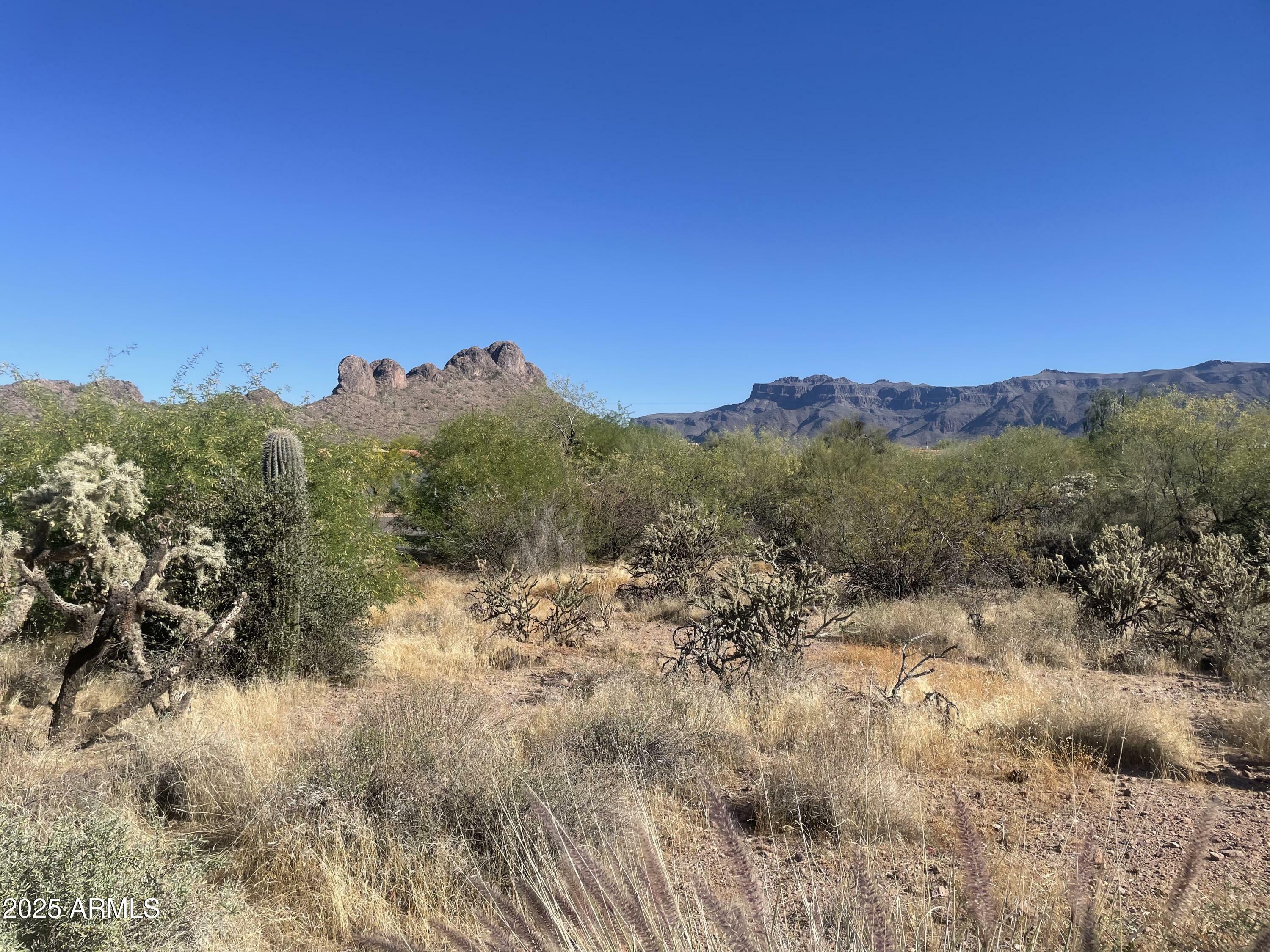 Property Photo: 6083 S Alameda Road 168 AZ 85118