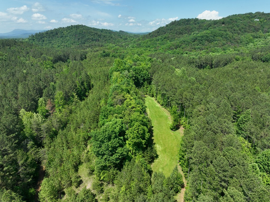 Property Photo: 0 Apple Road GA 30734