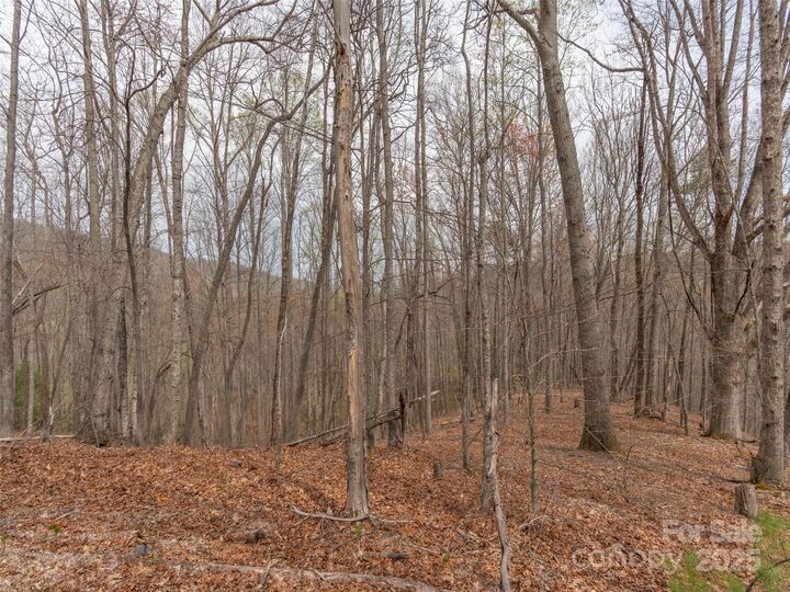 Property Photo: 00 Michele Lane 4 NC 28748