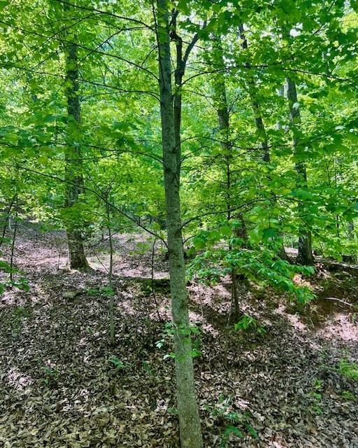 Property Photo: 220 Yanegwa Knoll GA 30534