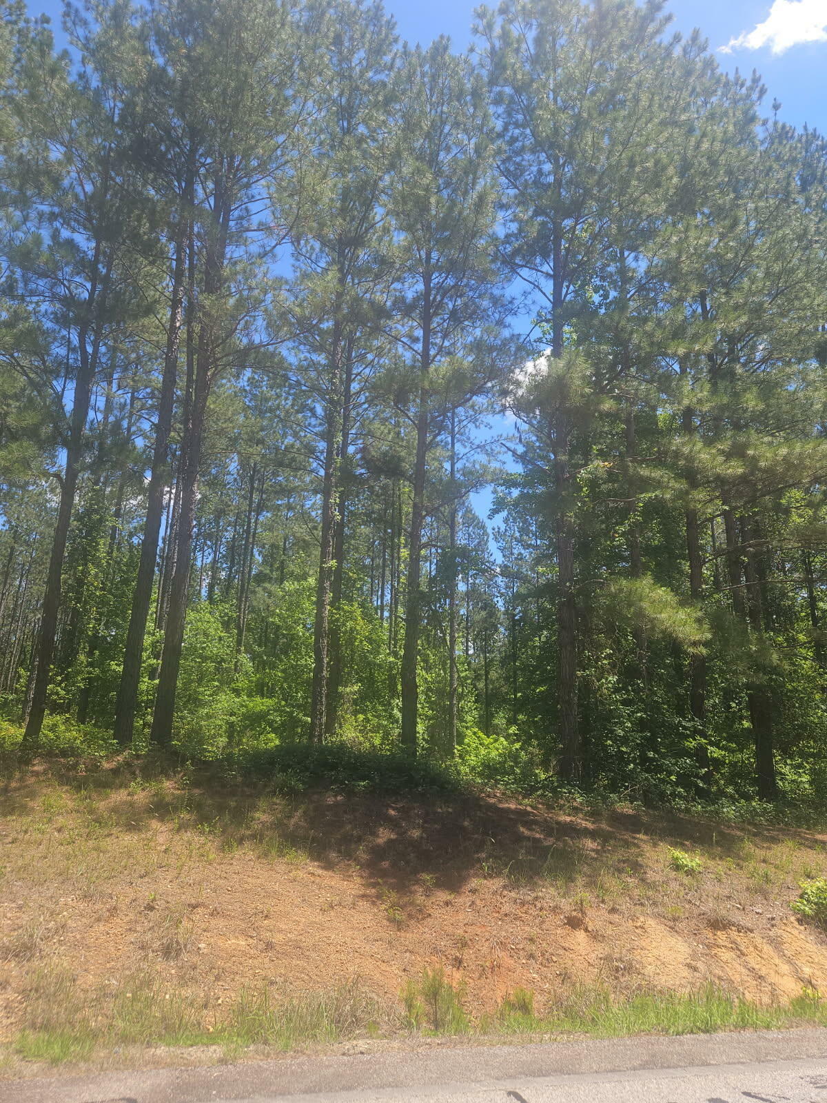Property Photo: Lot 8 Ga Highway 123 GA 30820
