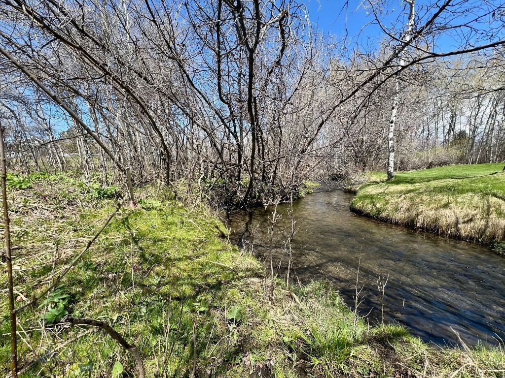 Property Photo: Tbd Spring Creek Drive MT 59715