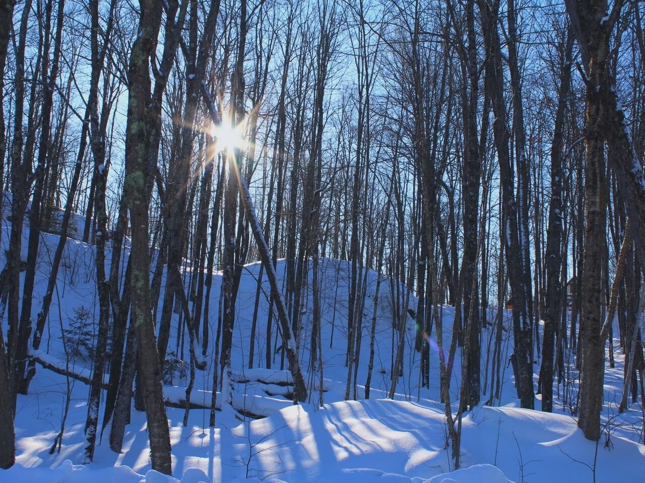 Property Photo:  Outlot 3 Skye Dr  WI 54565 