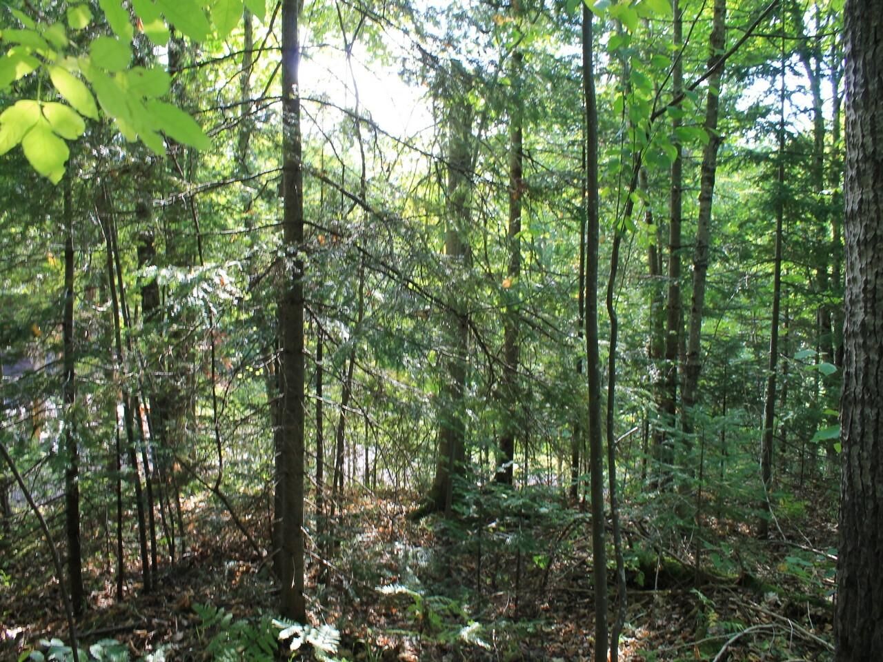 Property Photo: Lot 16 Alpine Dr WI 54565
