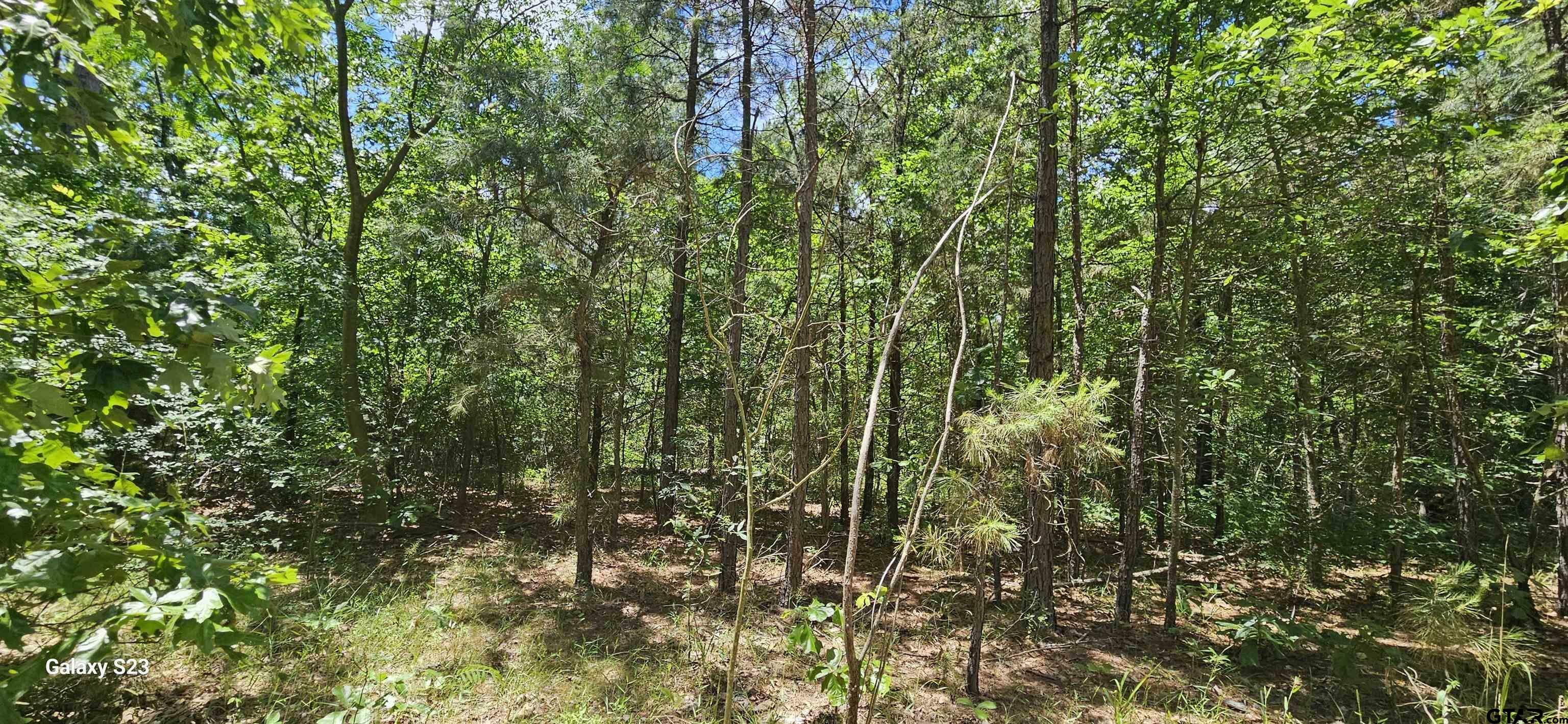 Property Photo: Tbd Cr 2290 TX 75773