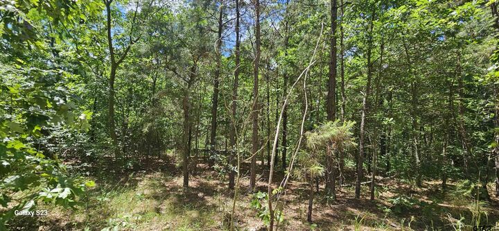 Property Photo: Tbd Cr 2290 TX 75773