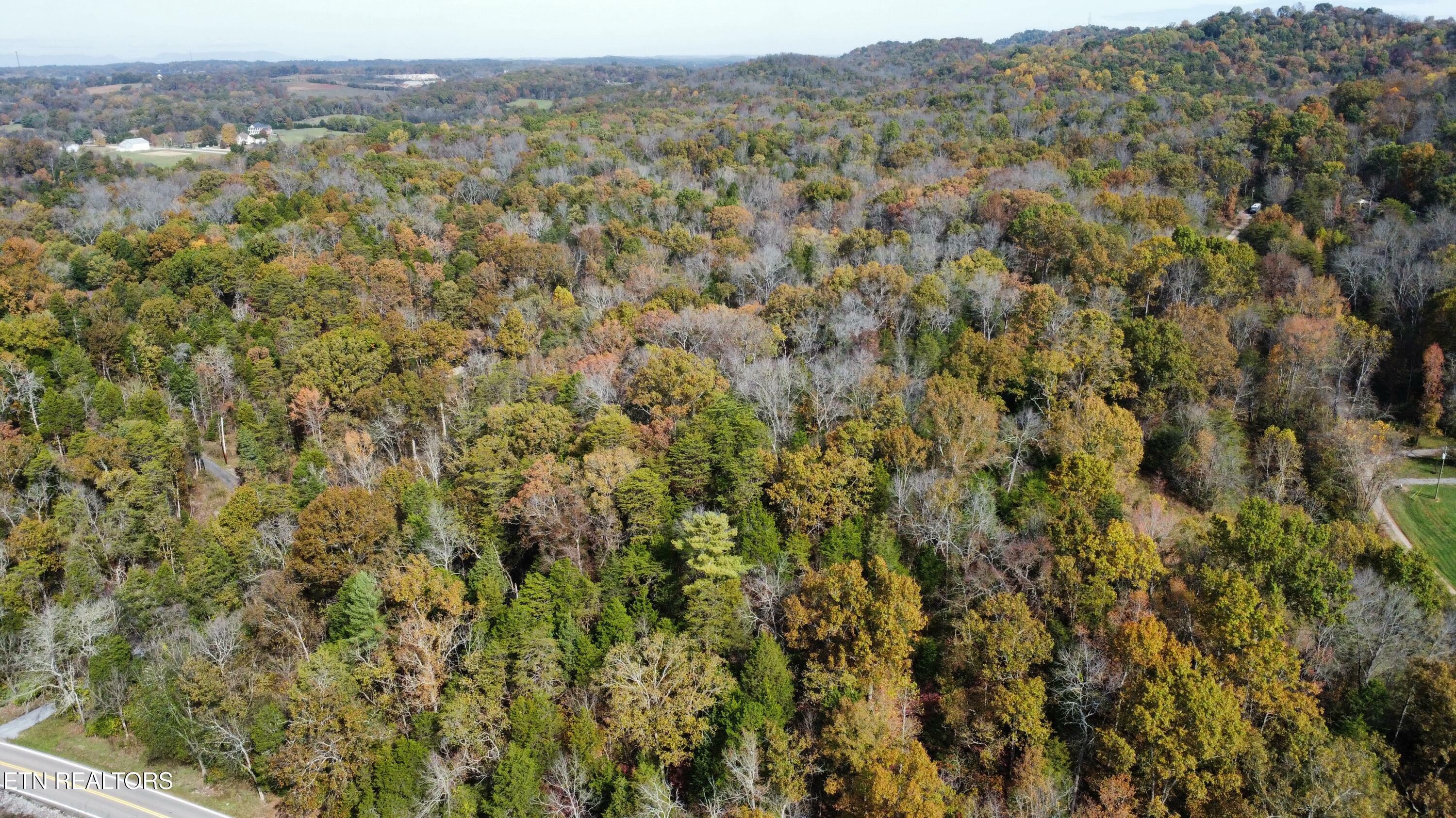 Property Photo: 16774 N Highway 95 TN 37742