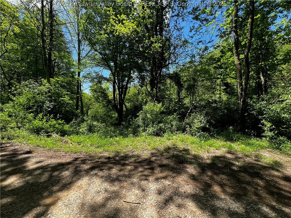 Property Photo: 0 Lts Plantation Road WV 25312