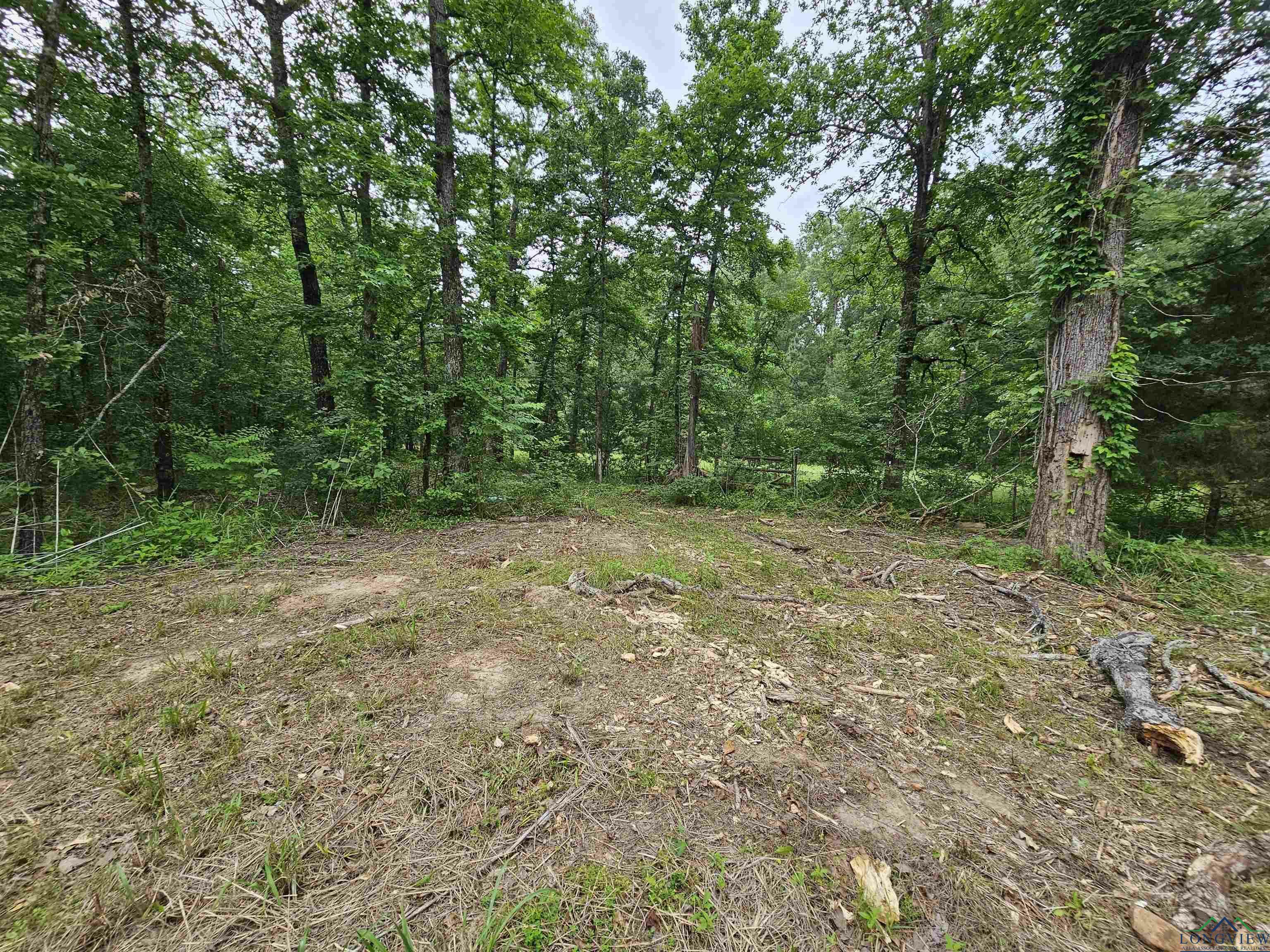 Property Photo: 811 Hallsville Heights TX 75702