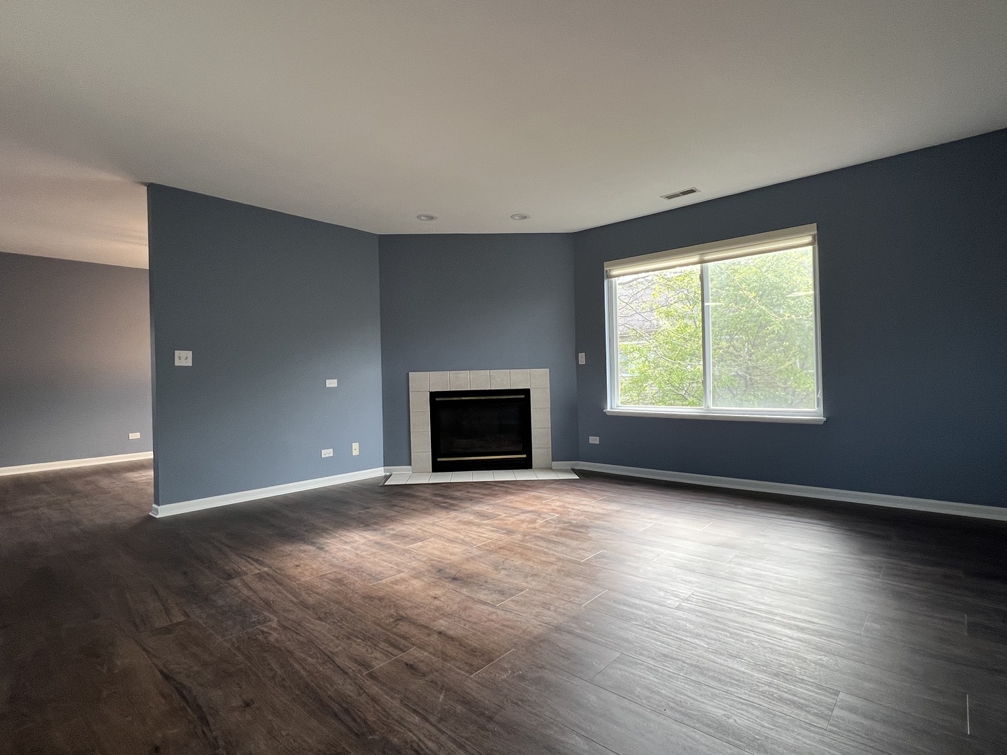 Property Photo: 3413 Blue Ridge Drive IL 60110