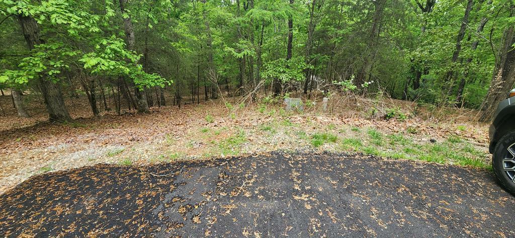 Property Photo: Lt 12 Saw Briar Lane GA 30512