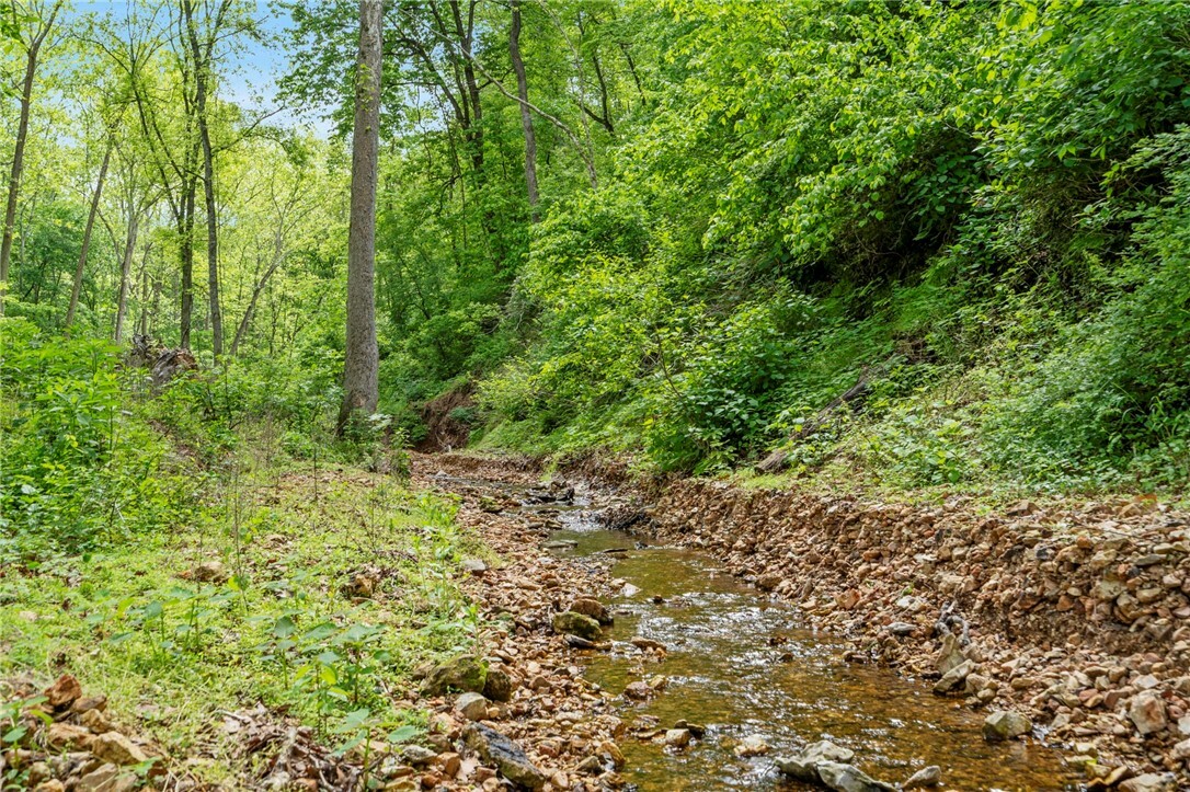 Property Photo: 13150 Gooseberry Road AR 72712
