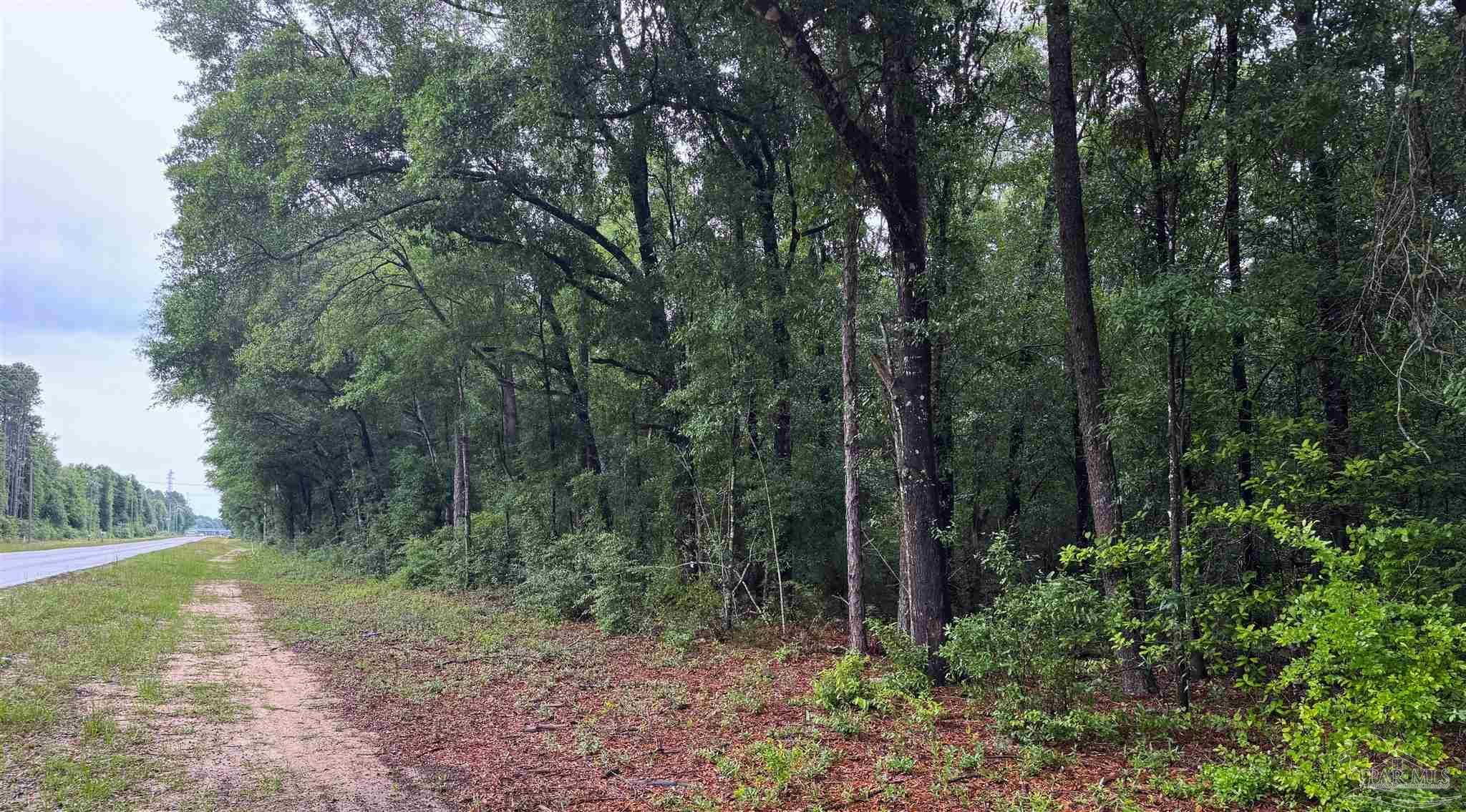 Property Photo: Lot 42 Log Lake Rd FL 32564
