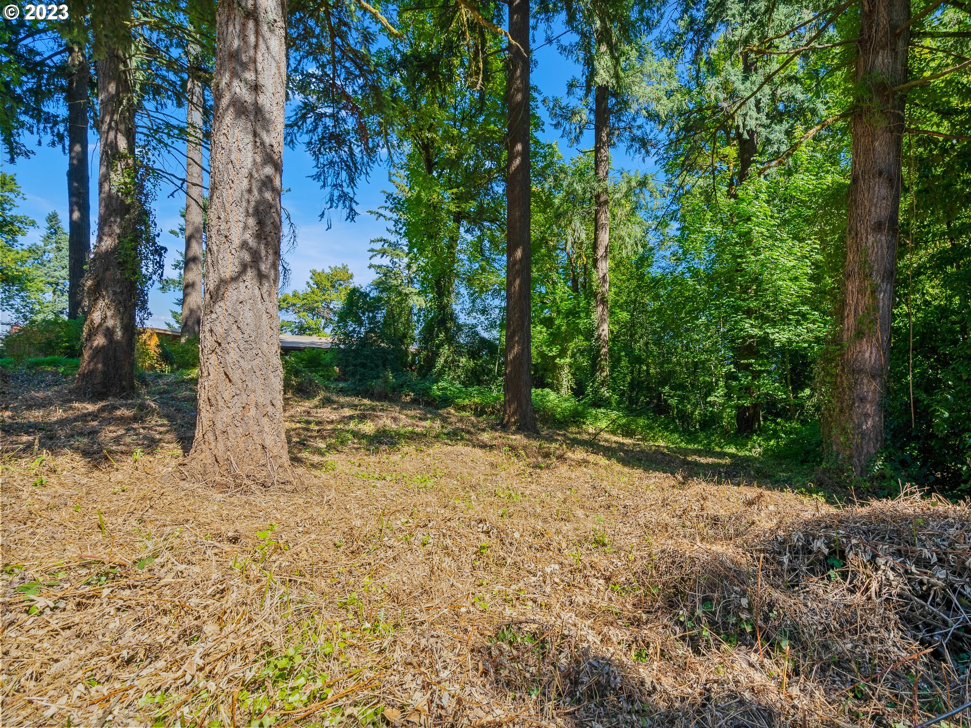 Property Photo: 11000 S Collina Ave OR 97219
