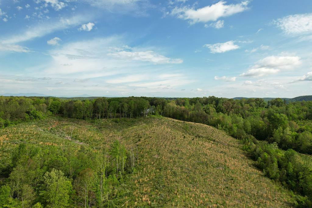 Property Photo: 00 James River/Oakville Rd VA 24553