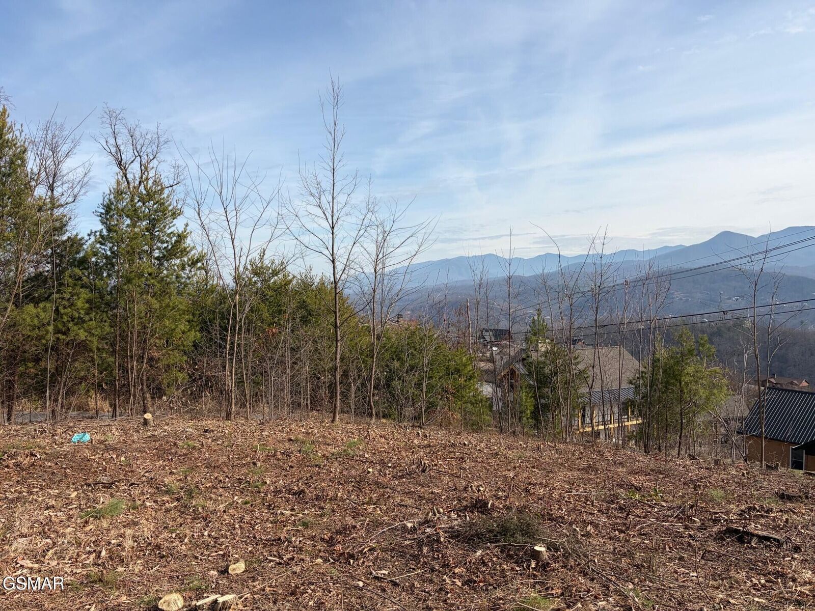 Property Photo: 730 Wiley Oakley Drive TN 37738