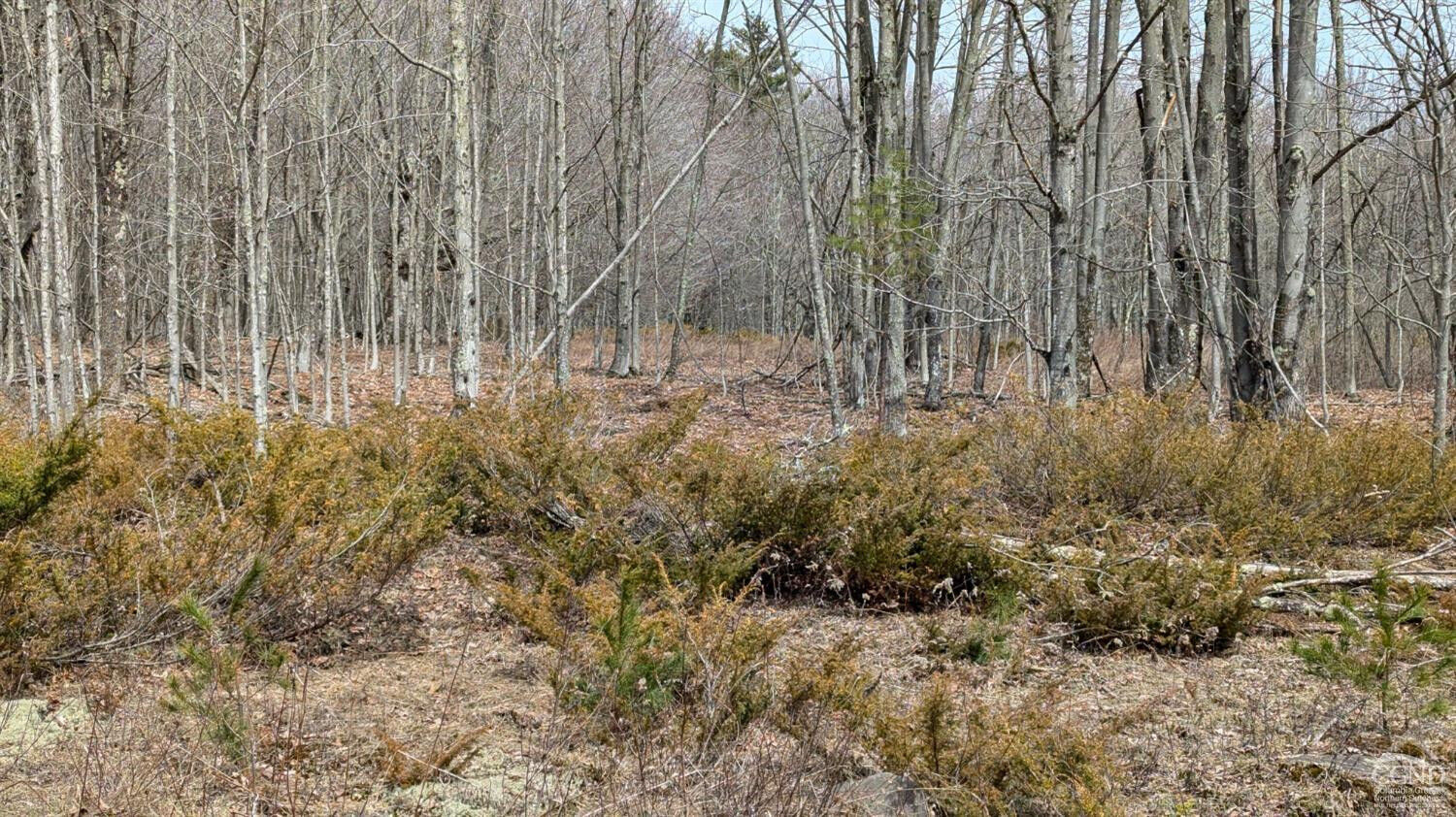 Property Photo:  75 Windy Lane  NY 12444 