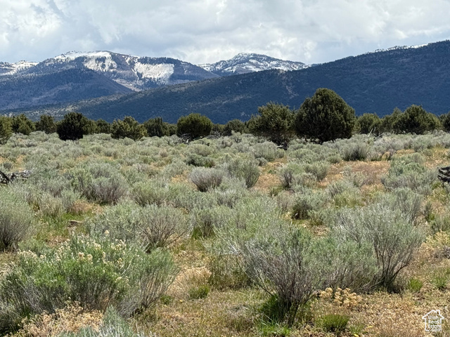 Unknown  Spring City UT 84662 photo