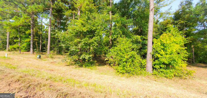 Property Photo:  Lot 13 Block A Mountain View Way  GA 39819 