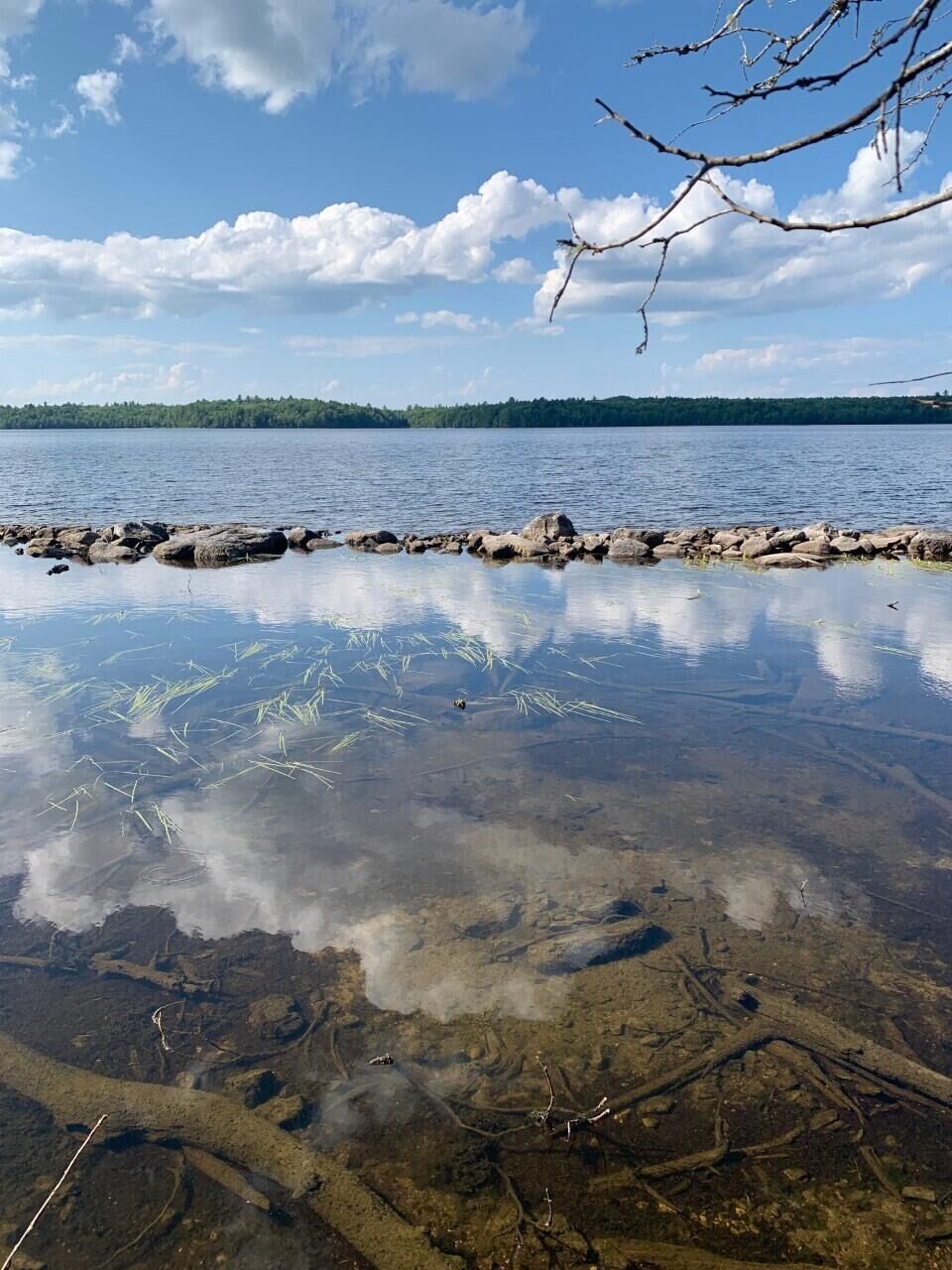 Property Photo:  Lot#3 Crowe Lane  ME 04668