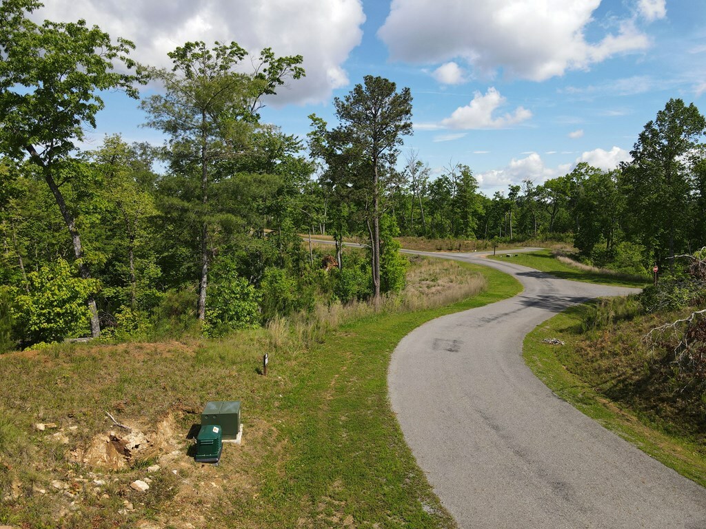 Property Photo: Lot 108 High River GA 30540