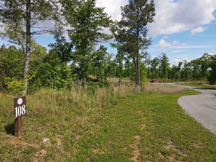 Property Photo:  Lot 108 High River  GA 30540 