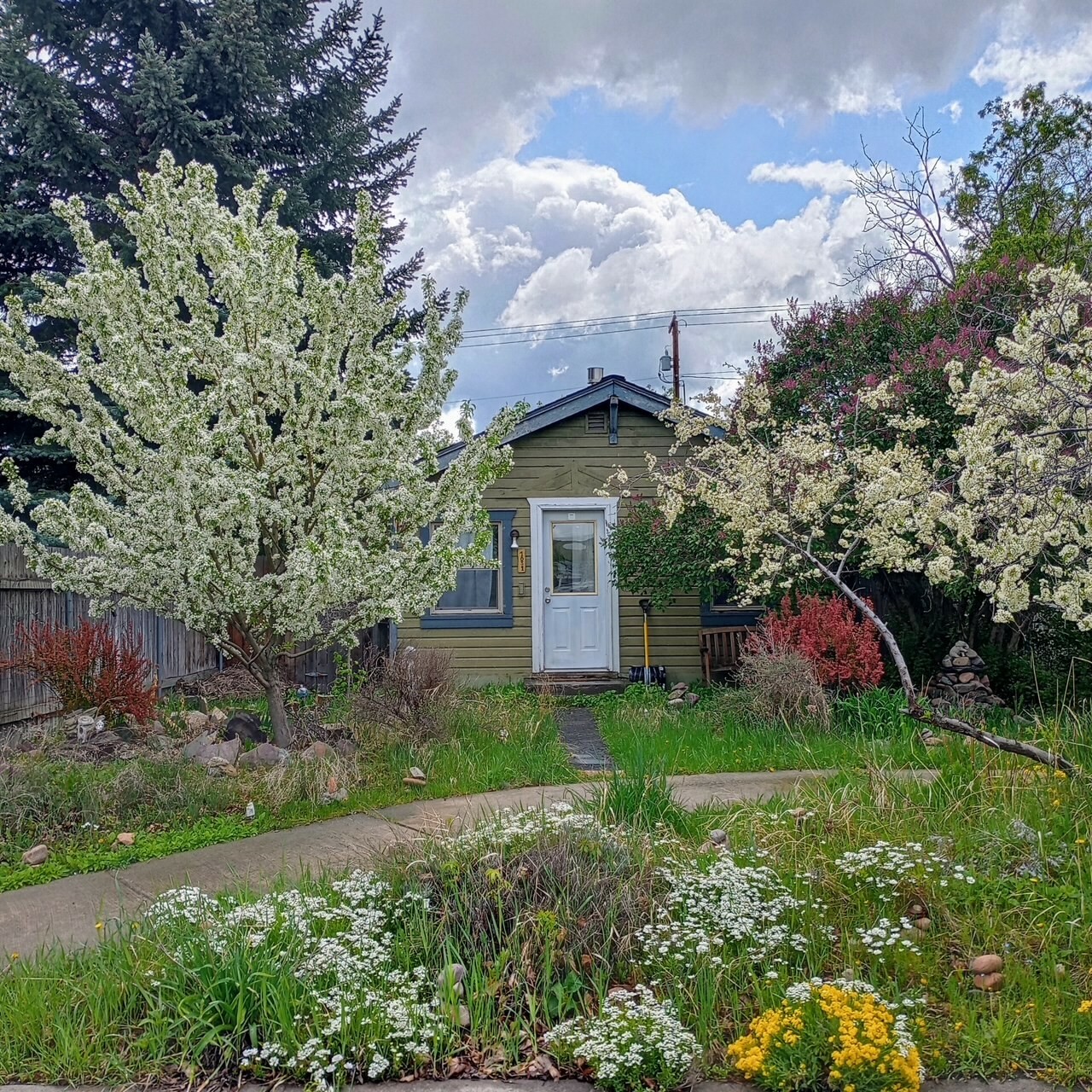 1031 Cooley Street  Missoula MT 59802 photo