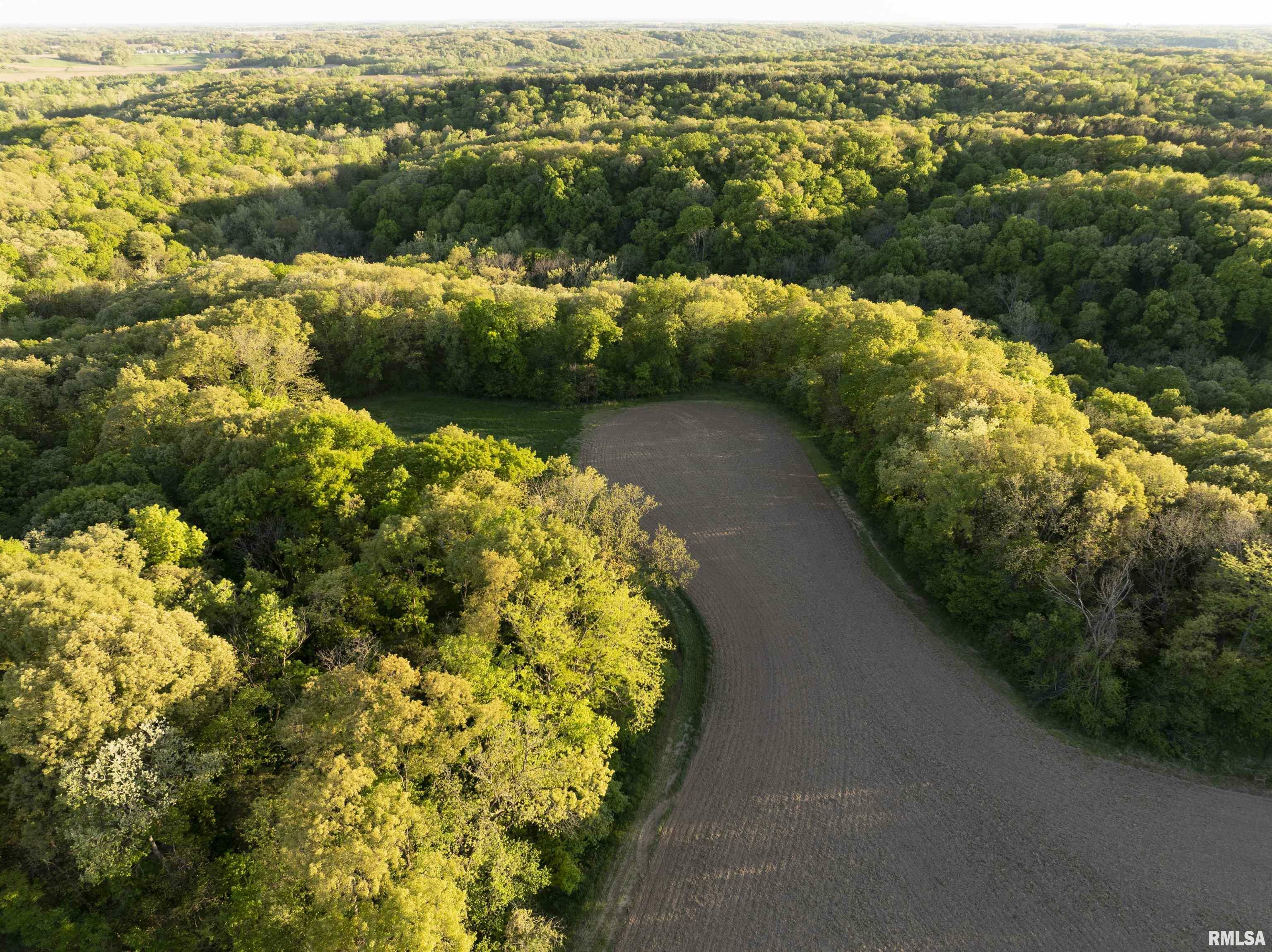 Property Photo: 0 Chambers Road IL 61477